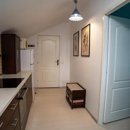 Barrique De Mijloc 1 Brașov